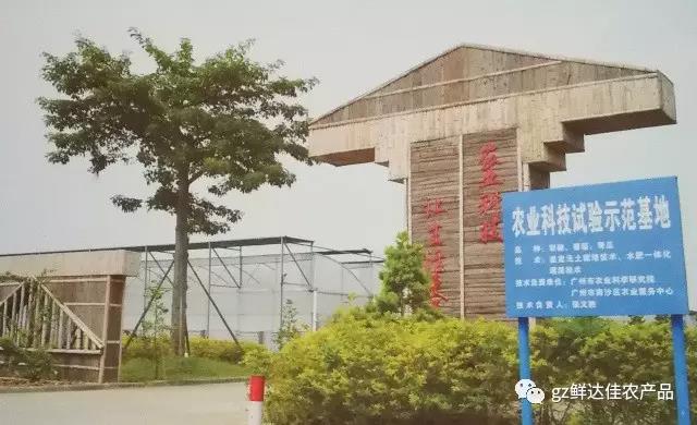 南沙农业生产一色桃子在线视频
